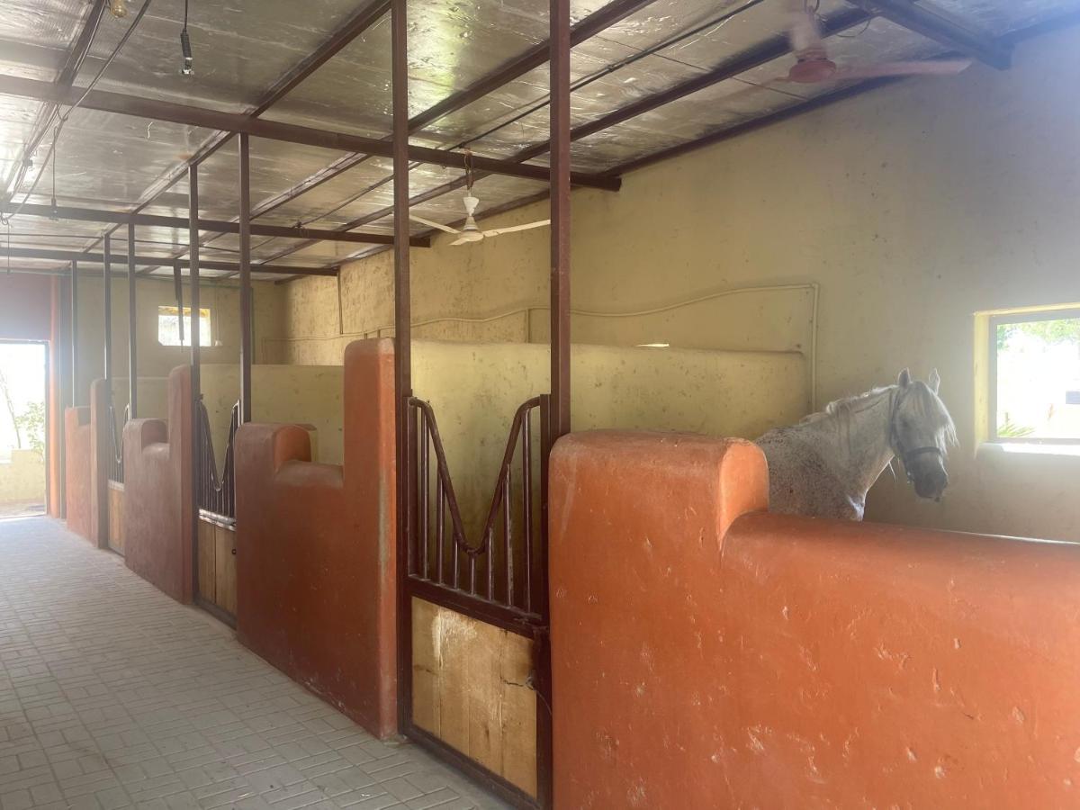 Al Bait Resort With Private Swimming Pools -Hrs Stables Al Hamraniyah Esterno foto